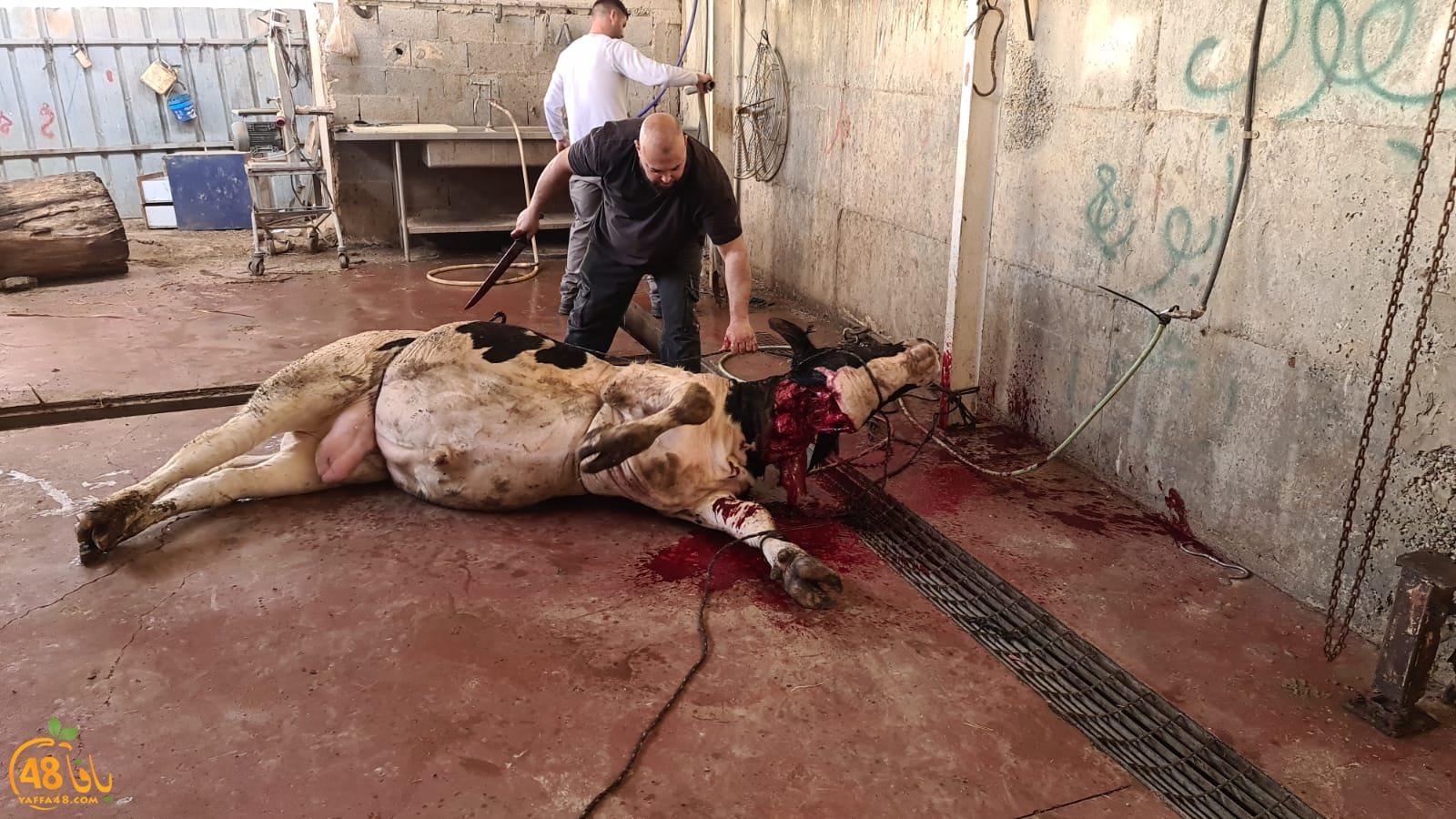 WhatsApp Image 2021-02-02 at 2.12.02 PM.jpeg